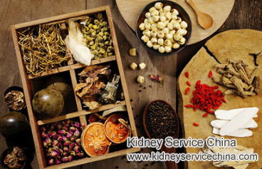 How Can IgA Nephropathy Patient Avail of Traditional Chinese Medicine