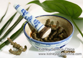 Is There Any Natural Remedy for Diabetic Nephropathy