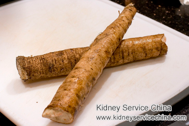Can Burdock Root Help Treat Kidney Failure