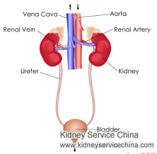 Regular Urinary Tract Infections for Lupus Nephritis Patients