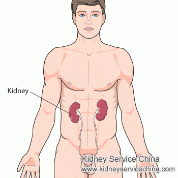 What Treatment Can I Take When Kidneys Shrink to 40%