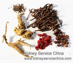 Chinese Remedy for Kidney Cysts with One Large 16 cm