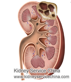 Treatment for Renal Parenchymal Disease and Kidney Cyst