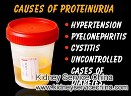 Home Remedy for Protein in Urine