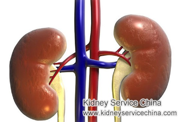 Should Kidney Failure Patients With Creatinine 9.7 Do Kidney Transplant