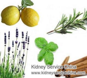 Home Remedies to Reduce Urea 106 and Creatinine 5.4