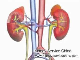 Chronic Parenchymal Disease With Creatinine 2.55