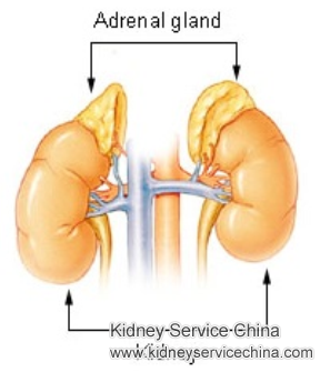 Adrenal Cyst Causing A Lot of Pain