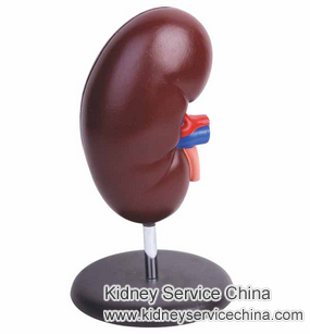 Hydroelectrization Treats Chronic Kidney Disease