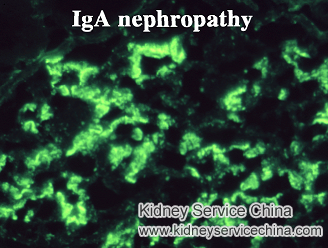 Is Class 2 IgA Nephropathy Reversible