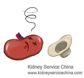 Is Creatinine 18.5 Dangerous