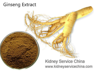 Can Ginseng Extract Hurt Your Kidneys with Renal Failure