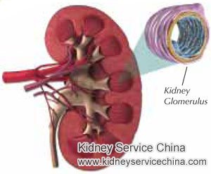 How Serious Is FSGS with Protein in Urine