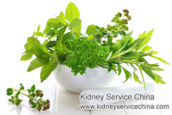 Using Herbs to Revive Kidneys in Diabetics