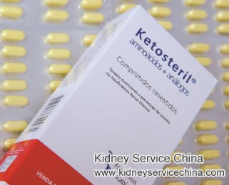 Is Ketosteril Suggested for IgA Nephropathy with GFR 20