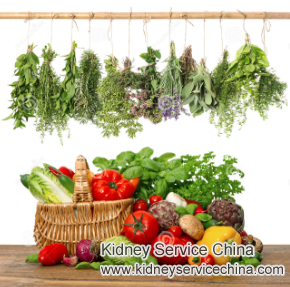 Naturopathic Treatment of High Creatinine Levels