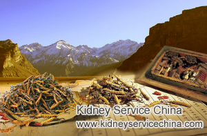 Chinese Medicine Good for FSGS with 13% Kidney Function