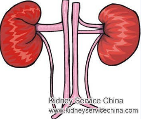 Can Damaged Kidneys Be Rejuvenated