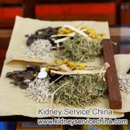 Chinese Herbs Help Bring Down Creatinine with Lupus Nephritis