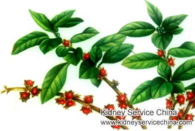 Can Ashwagandha Treat Kidney Cyst