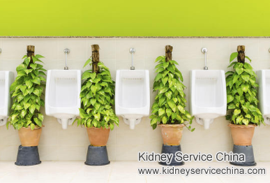 Right Solution for Bubbles in Urine for IgA Nephropathy