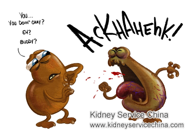 14% Kidney Function and High Creatinine 3.95