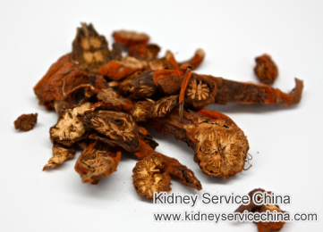 Danshen Benefits for Kidneys
