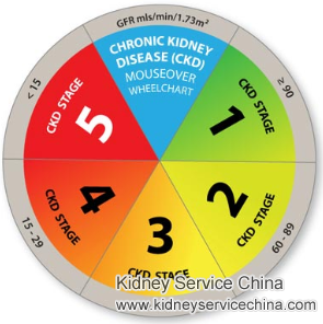Low GFR 68 for IgA Nephropathy Patients