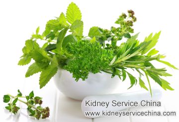 Herbs to Help My Kidneys to Restore