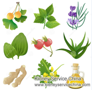 Is TCM Helpful to Lower High Creatinine 13