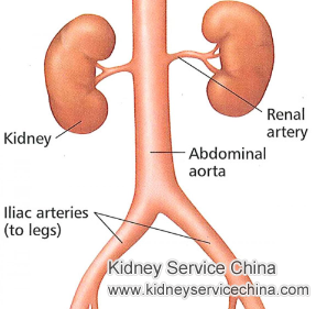 Is There A Way to Reactivate Damaged Kidneys