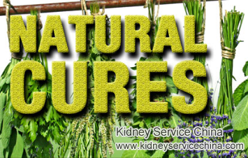 A Natural Remedy to Shrink 6.8 cm Kidney Cyst