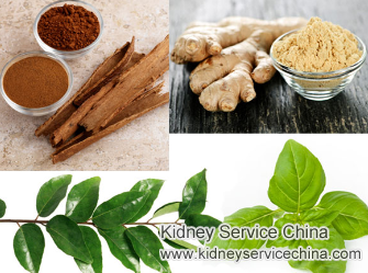 Is There Any Remedy to Prevent FSGS from Progressing into Kidney Failure
