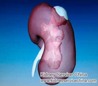 Advises for Grade 3 Renal Parenchymal Disease and Kidney Cyst