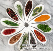 Herbs for Nephrotic Syndrome Rather than Steroids