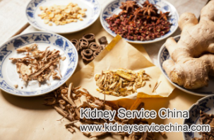 Chinese Herbs to Lower Creatinine 13.3