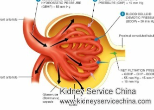 Can GFR Be Increased Naturally by Traditional Chinese Medicine