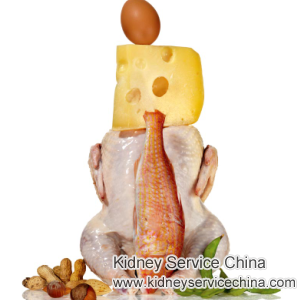 What Kind of Protein Is Recommended For Patients with Creatinine 3.0