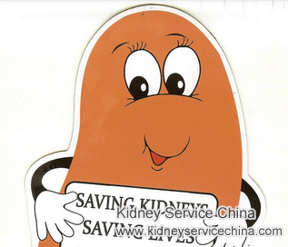 Is There Any Way to Treat Kidney Failure to Go Back to Normal