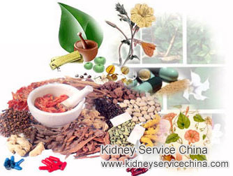 Can Child Nephrotic Syndrome Be Healed by Ayurveda