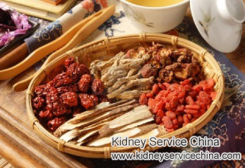 What Is Chinese Medicine Therapy for Creatinine Level 8.7