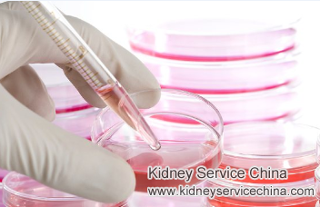 Stem Cell Therapy in Shijiazhuang Hetaiheng Hospital