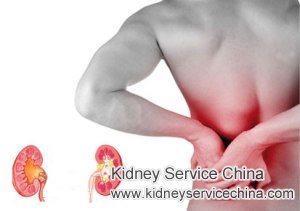 What Medicine Do You Suggest I Can Use with Mild Kidney Pain