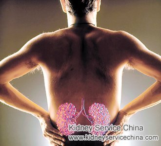 The Traditional Chinese Medical Therapies to Treat Kidney Failure