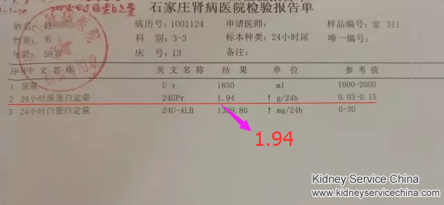 Breaking the vicious circle of high creatinine, protein and urine acid with natural treatment