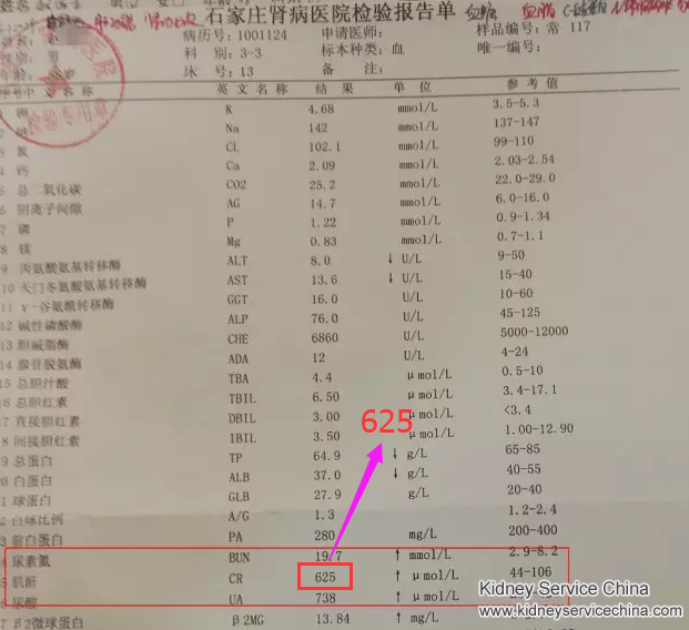 Breaking the vicious circle of high creatinine, protein and urine acid with natural treatment
