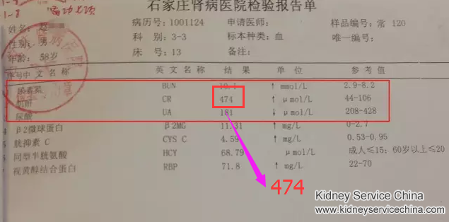 Breaking the vicious circle of high creatinine, protein and urine acid with natural treatment