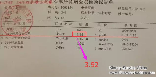 Breaking the vicious circle of high creatinine, protein and urine acid with natural treatment