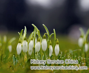 Can Edema in IgA Nephropathy Get Improved with Natural Treatment