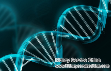 Can Enlarged Kidney Get Reversed With Natural Treatment
